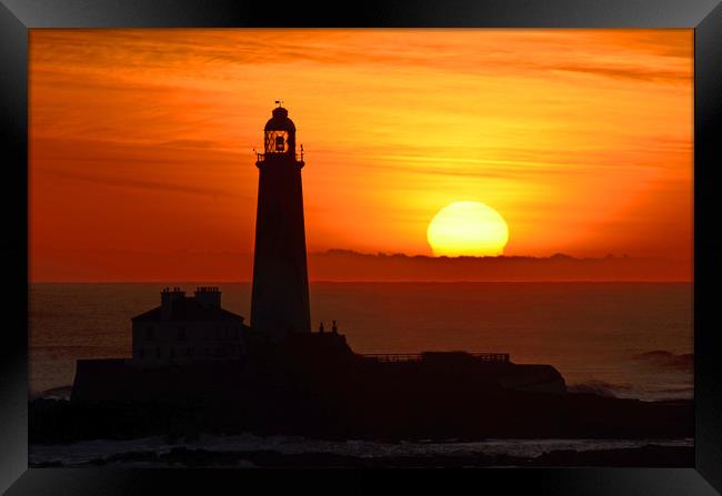       St Mary's Lighthouse, winter sunrise.        Framed Print by Michael Oakes