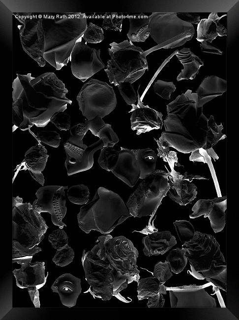 Infrared Flowers #5 Framed Print by Mary Rath