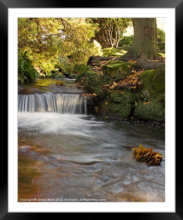 Beddington Park Waterfall Framed Mounted Print by James Ward