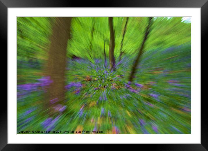 Zooming Through Bluebell Woods Framed Mounted Print by Christine Johnson