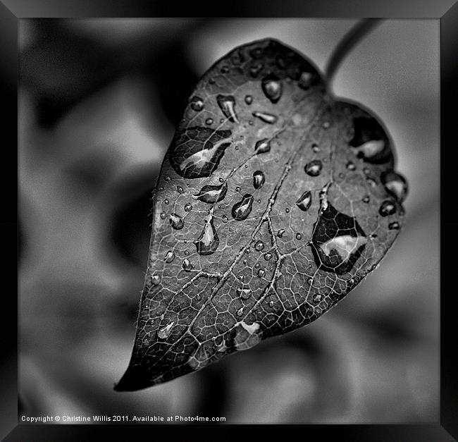 Crying in the Rain Framed Print by Christine Johnson