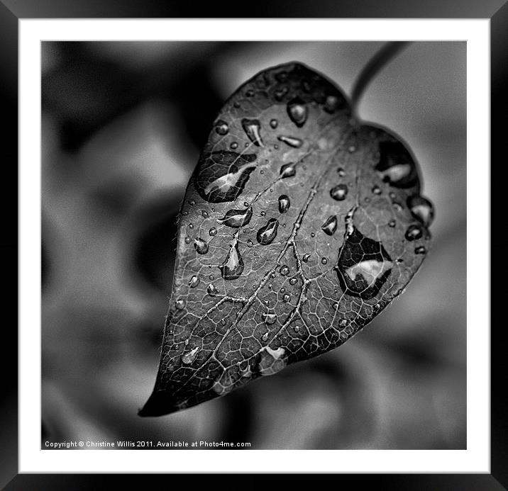 Crying in the Rain Framed Mounted Print by Christine Johnson