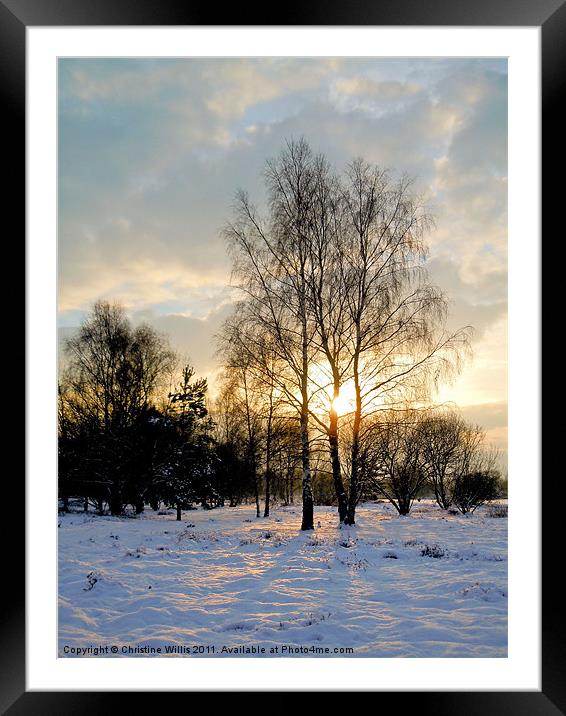 Winter Light Framed Mounted Print by Christine Johnson