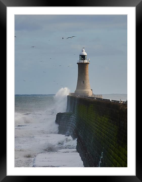 Tynemouth Pier and Lighthouse Framed Mounted Print by John Ellis