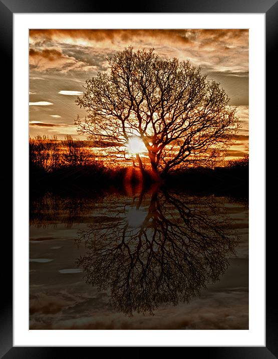 Sunrise Over Woolsington Framed Mounted Print by John Ellis