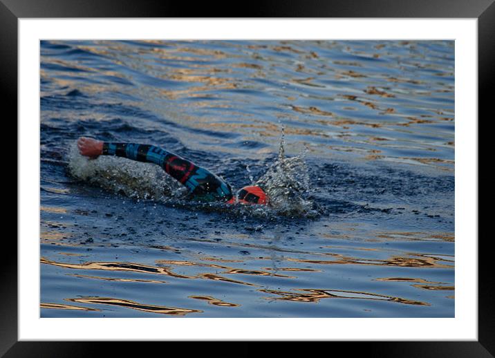 The Swimmer Framed Mounted Print by John Ellis