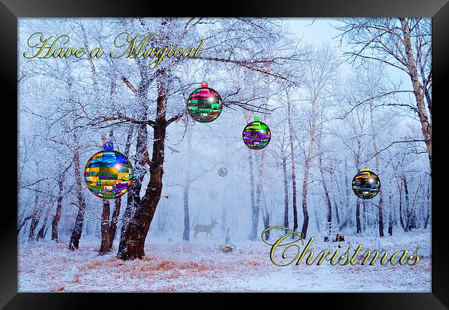 Have a Magical Christmas Framed Print by John Ellis