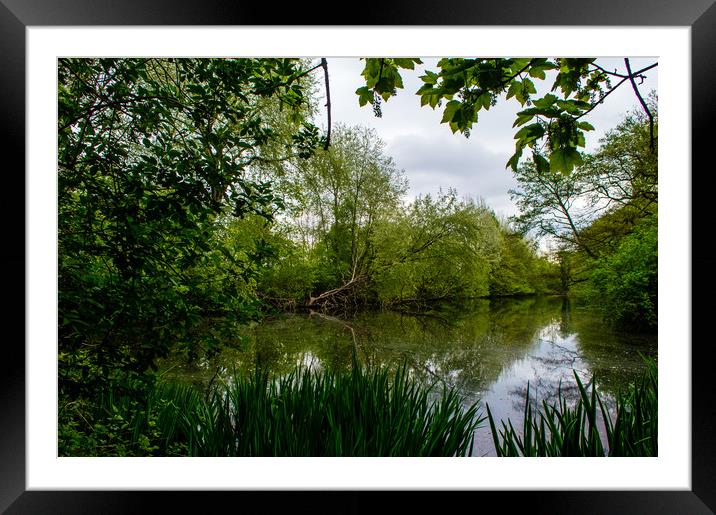 Ryton Willows Framed Mounted Print by John Ellis