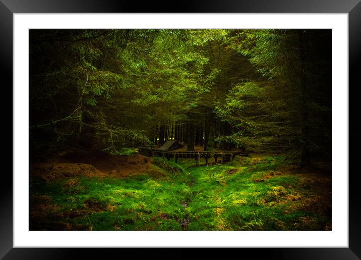 Enchantment Framed Mounted Print by John Ellis