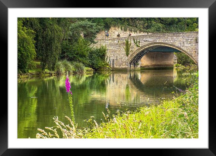 River Coquet and Warkworth Bridge Framed Mounted Print by John Ellis