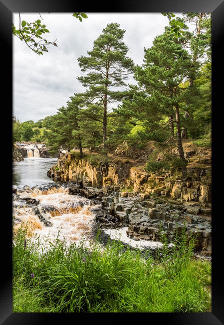 Low Force Upper Teesdale Framed Print by John Ellis