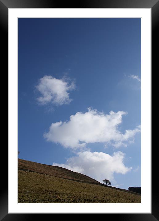 Lonely Tree Under Big Sky Framed Mounted Print by Ashley Ridpath