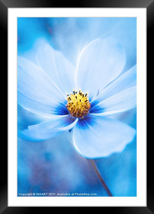 Midnight Blue Framed Mounted Print by