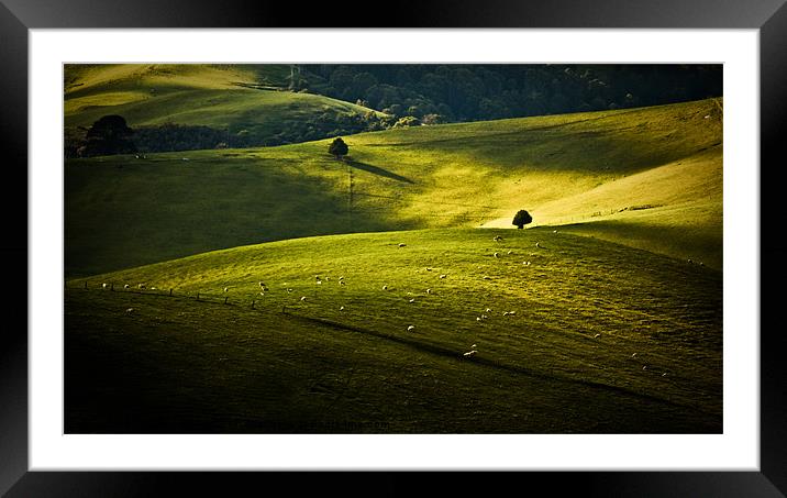 Greens and golds Framed Mounted Print by Caroline Gorka