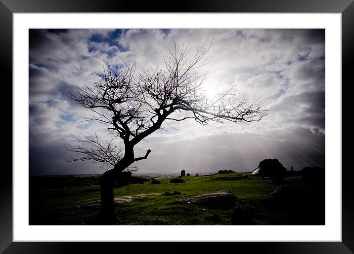 Winter Tree Framed Mounted Print by Caroline Gorka