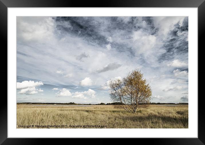 Snape Maltings landscape Framed Mounted Print by Stephen Wakefield