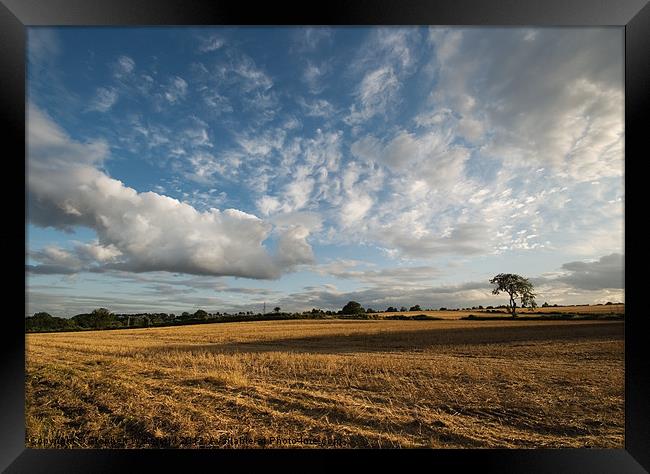 Summer Skies in evening light Framed Print by Stephen Wakefield