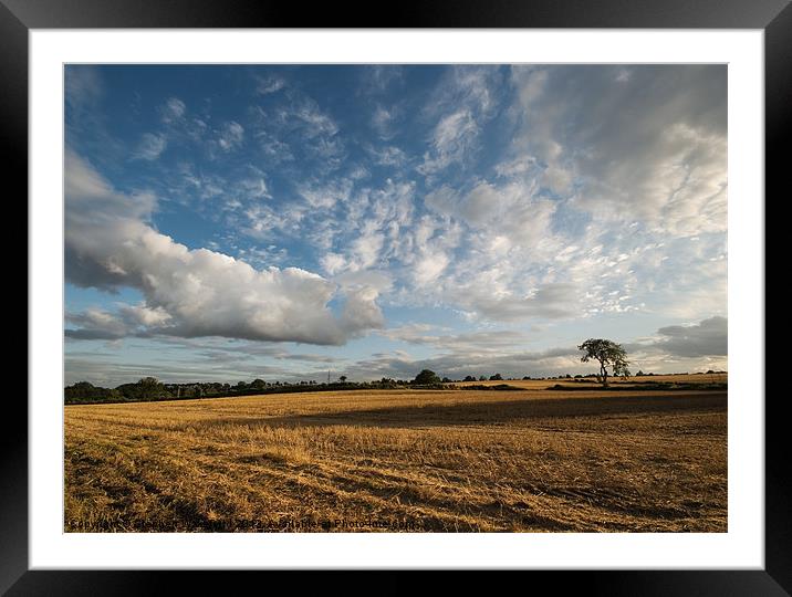 Summer Skies in evening light Framed Mounted Print by Stephen Wakefield