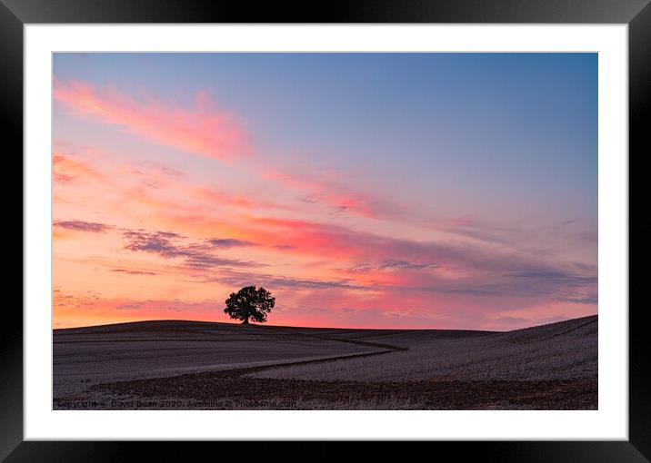 A sunset on One Tree Hill Framed Mounted Print by David Dean