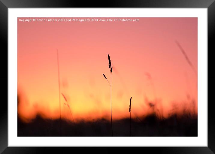  Tall Grass Sunset Framed Mounted Print by Kelvin Futcher 2D Photography