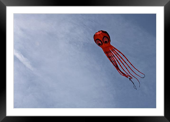 A Flying Octopus! Framed Mounted Print by Kieran Brimson