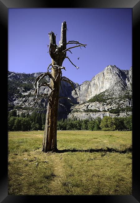 Yosemite Framed Print by Kieran Brimson