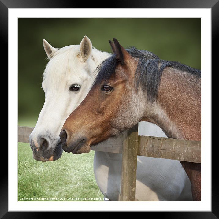 Two Ponies at the Fence Framed Mounted Print by Victoria Davies