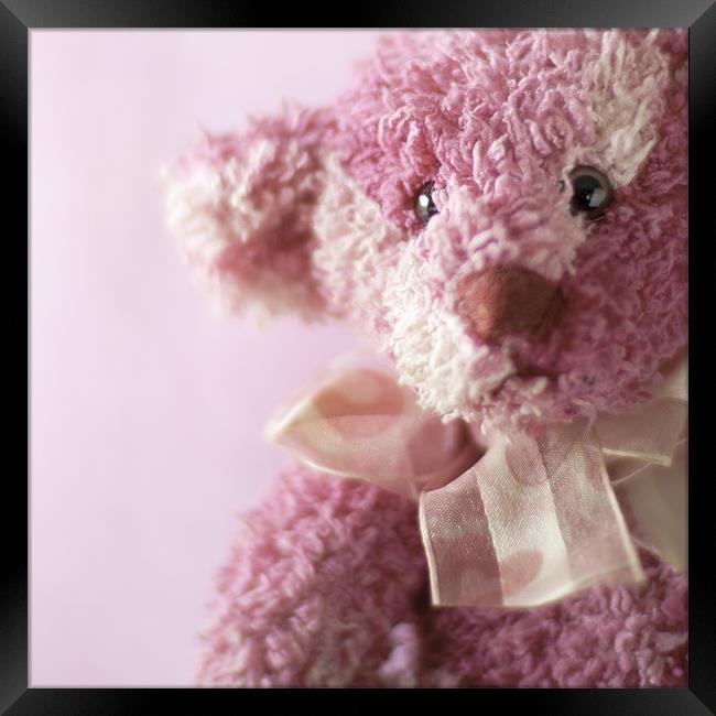Little Pink Bear Framed Print by Victoria Davies