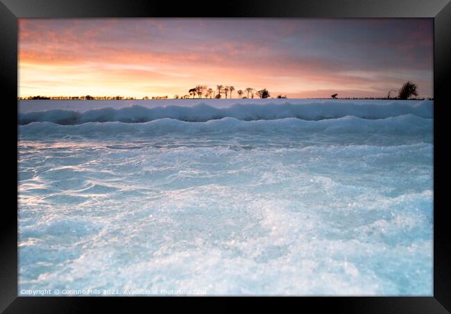 Fire and Ice Framed Print by Corinne Mills