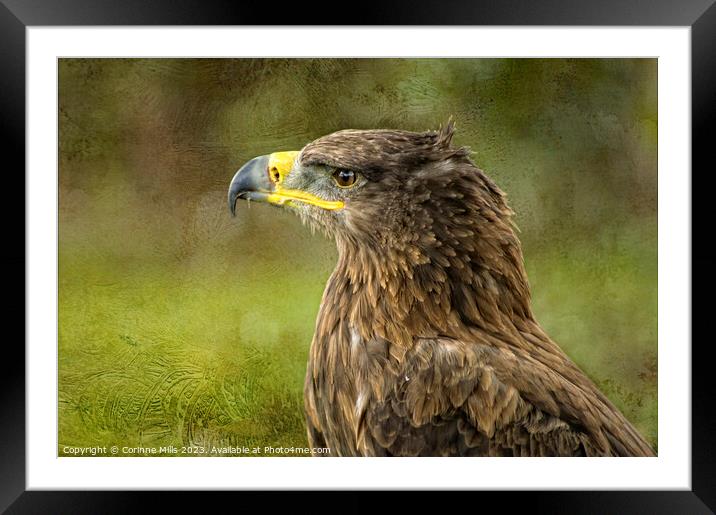 The Eagle Framed Mounted Print by Corinne Mills