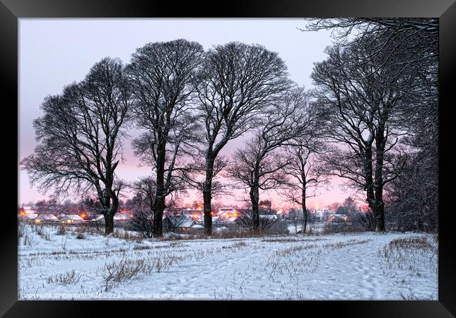 Winter sunset  Framed Print by Corinne Mills