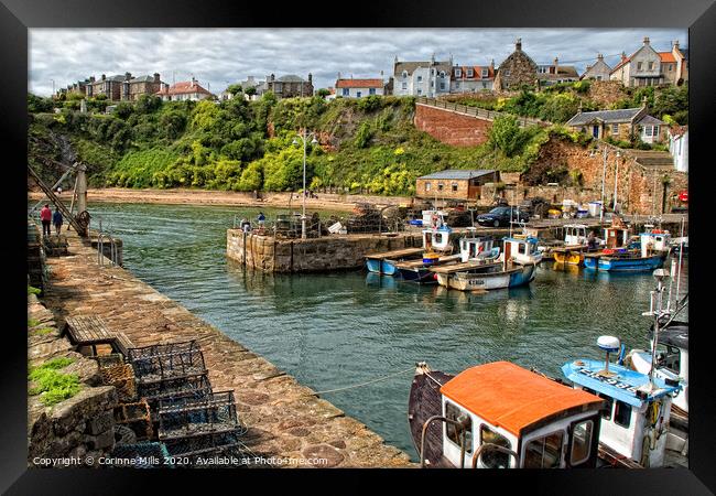 Crail Harbour Framed Print by Corinne Mills