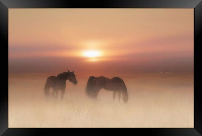 Horses in a misty dawn Framed Print by Valerie Anne Kelly