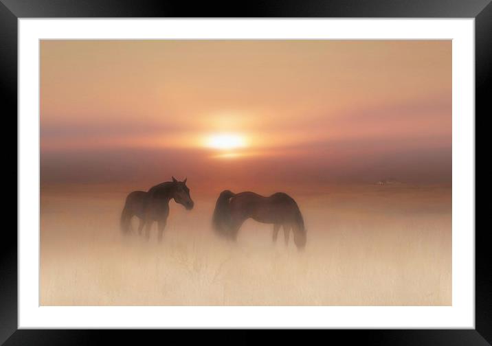Horses in a misty dawn Framed Mounted Print by Valerie Anne Kelly