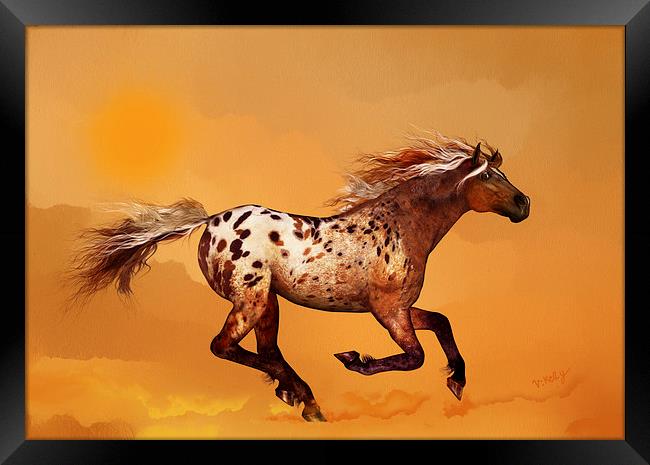 An Appaloosa called Ginger Framed Print by Valerie Anne Kelly