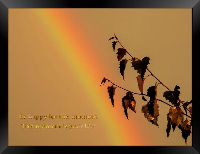 Rainbow and copper Framed Print by Valerie Anne Kelly