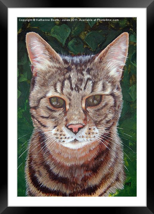 Tabby Cat Framed Mounted Print by Katherine Booth - Jones