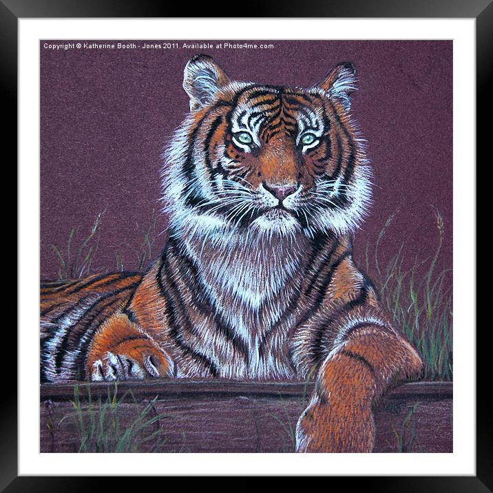 Tiger Framed Mounted Print by Katherine Booth - Jones