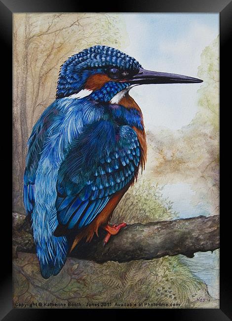 Kingfisher Framed Print by Katherine Booth - Jones