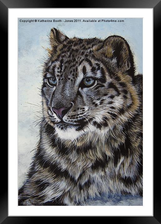 Snow Leopard Framed Mounted Print by Katherine Booth - Jones