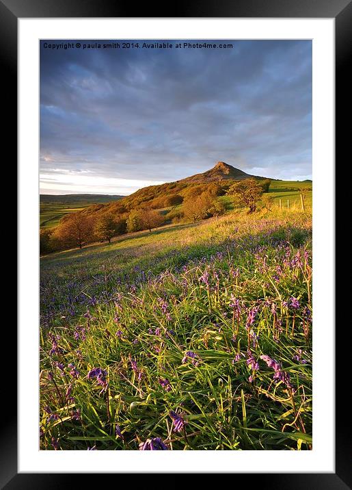 Roseberry Framed Mounted Print by paula smith