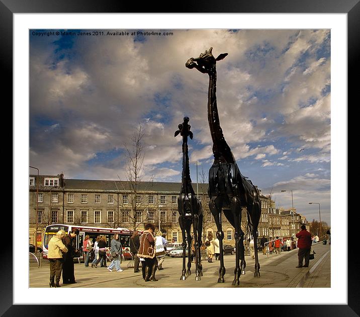 Urban Safari Framed Mounted Print by K7 Photography