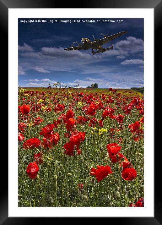 Poppies Framed Mounted Print by K7 Photography