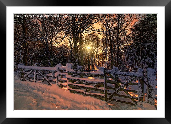  Woodland in Winter Framed Mounted Print by K7 Photography
