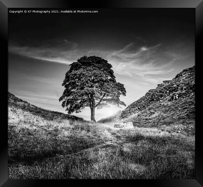 Sycamore Gap, Hadrians Wall, Iconic Northumberland Framed Print by K7 Photography