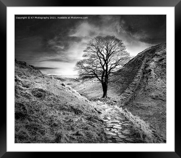 Sycamore Gap, Hadrians Wall, Northumberland Framed Mounted Print by K7 Photography