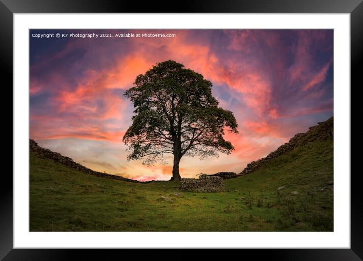 The Majestic Sycamore Gap Framed Mounted Print by K7 Photography