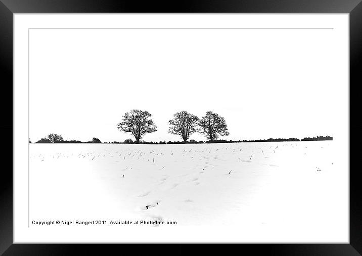 Three Trees Framed Mounted Print by Nigel Bangert
