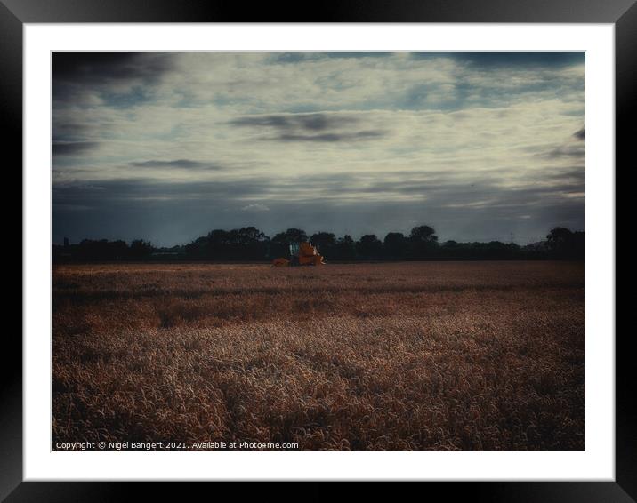 Gone To Lunch Framed Mounted Print by Nigel Bangert