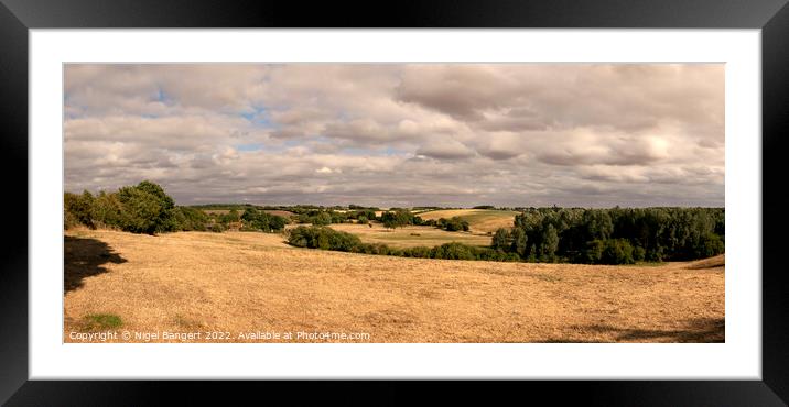 Harvest Landscape Framed Mounted Print by Nigel Bangert